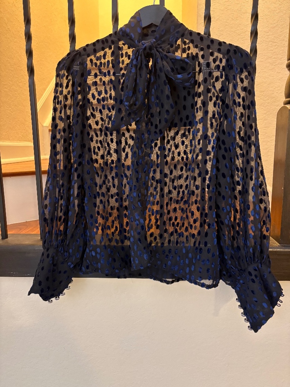 The Couples Black Velvet Polka Dot Blouse